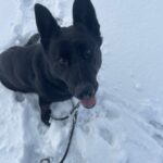 Ann – fotografie 27