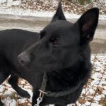 Ann – fotografie 23