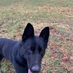 Ann – fotografie 24