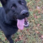 Ann – fotografie 8