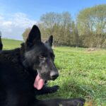 Ann – fotografie 8