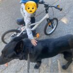 Ann – fotografie 7