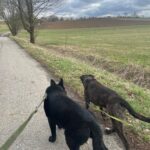 Ann – fotografie 35