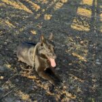 Ann – fotografie 34