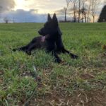 Ann – fotografie 9