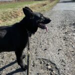 Ann – fotografie 6