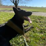 Ann – fotografie 5