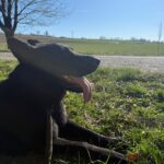 Ann – fotografie 4