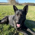 Ann – fotografie 3