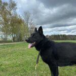 Ann – fotografie 11