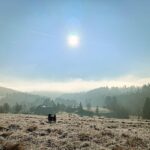 Šipka – fotografie 17