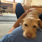 Bětuška – fotografie 29