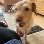 Bětuška – fotografie 30