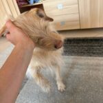 Bětuška – fotografie 31