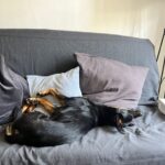 Makronka – fotografie 18