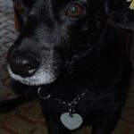 Rafák – fotografie 27