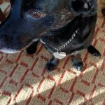 Rafák – fotografie 28