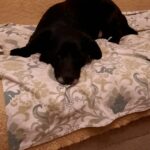 Rafák – fotografie 30