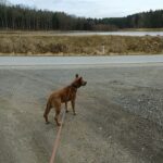 Bastien – fotografie 23