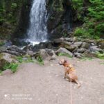 Bastien – fotografie 24