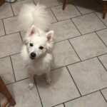 Felicia – fotografie 27