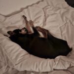 Božíček – fotografie 16