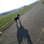 Božíček – fotografie 17