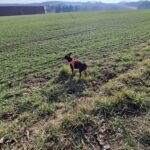 Božíček – fotografie 18