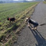 Božíček – fotografie 19