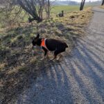 Božíček – fotografie 20