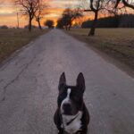 Jay – fotografie 26