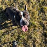 Jay – fotografie 29