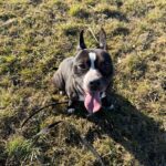 Jay – fotografie 27