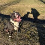 Jay – fotografie 28