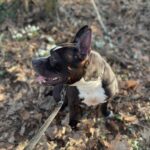 Jay – fotografie 32