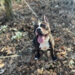 Jay – fotografie 30