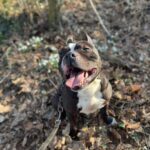 Jay – fotografie 31