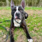 Jay – fotografie 4