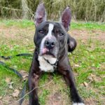 Jay – fotografie 3