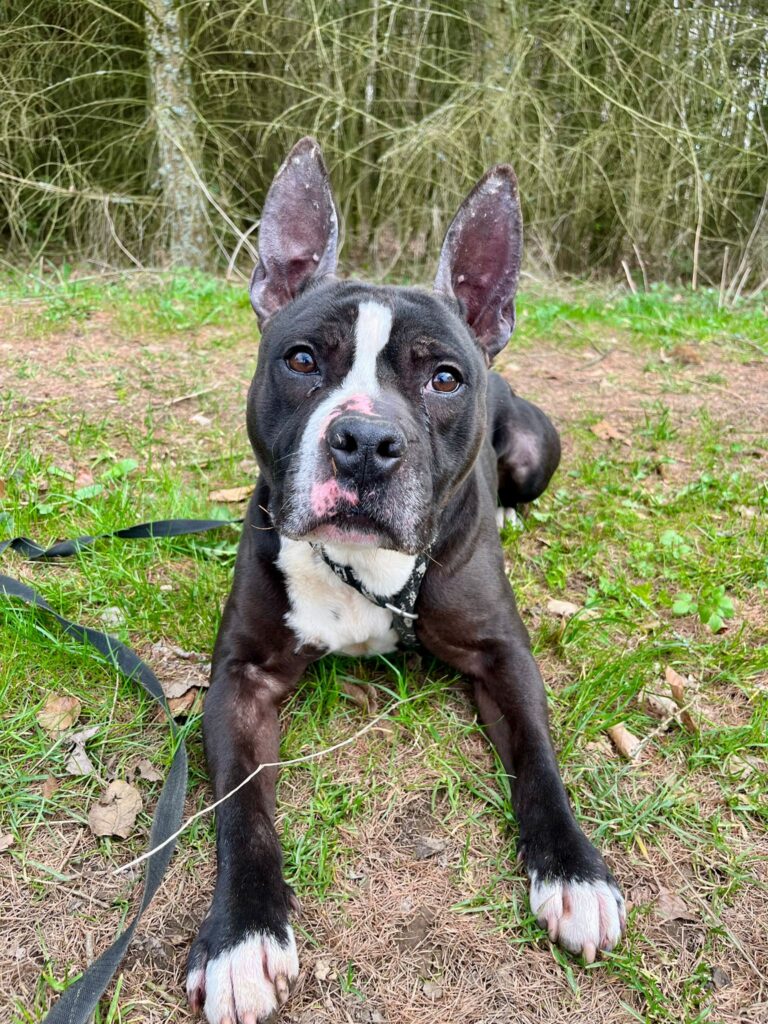 Jay – fotografie 2