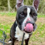 Jay – fotografie 6