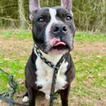 Jay – fotografie 5