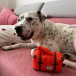 Adar – fotografie 31