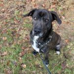 Luke – fotografie 29