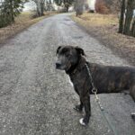 Luke – fotografie 30