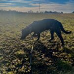 Luke – fotografie 31