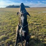 Luke – fotografie 32