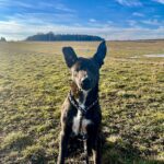 Luke – fotografie 33