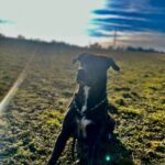 Luke – fotografie 34