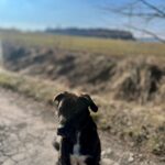 Luke – fotografie 35